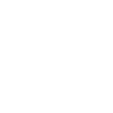 Coches reales